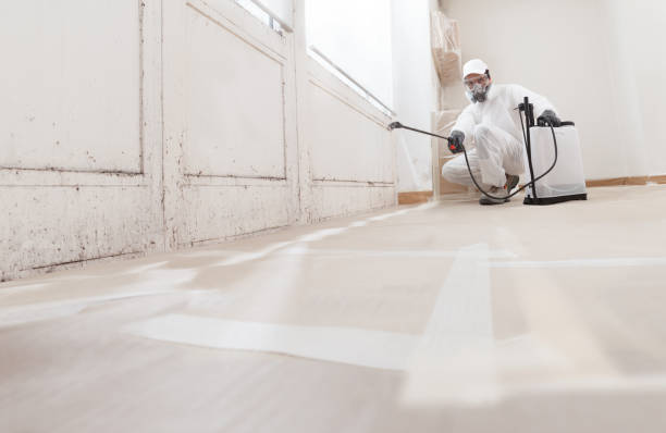 24/7 Emergency Basement Mold Remediation experts in Cherry Hill, NJ