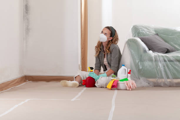 Reliable Basement Mold Remediation contractor in Cherry Hill, NJ by Mold Remediation HQ